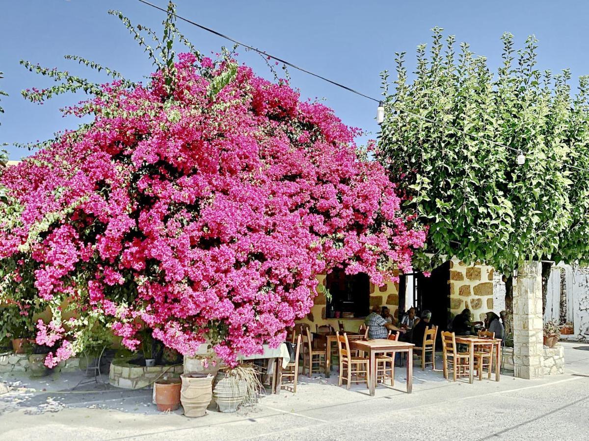 Villa Artemis Vryses Crete Alikampos Ngoại thất bức ảnh